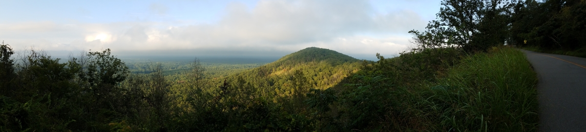 alt text for header image